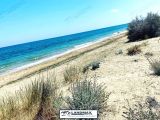 SATILIK DENİZE SIFIR KUMSAL ARAZİ ! Land FOR SALE On The Sandy Beach !