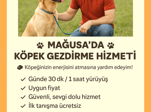 Evcil hayvan gezdiriciliği